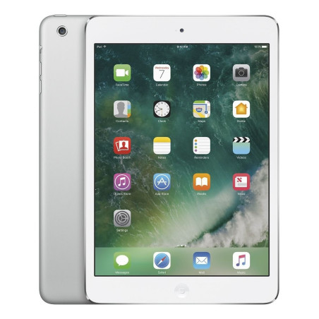 iPad Mini 2 (2013)