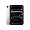 iPad Pro 11" (2024)