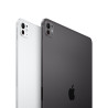 iPad Pro 11" (2025)