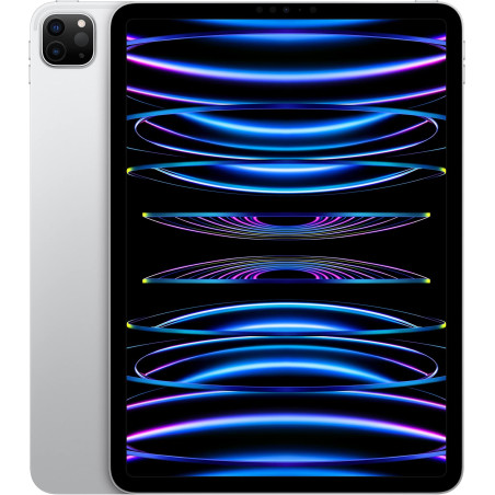 iPad Pro 4 (2020) 11.0