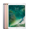 iPad Pro