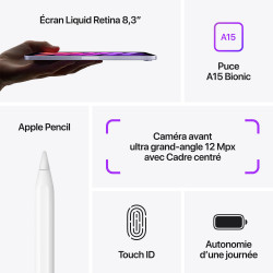 iPad mini (2021)