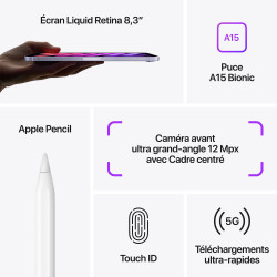 iPad mini (2021)